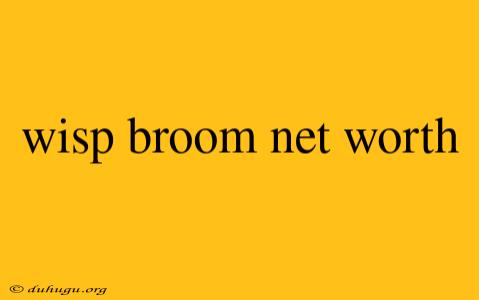 Wisp Broom Net Worth