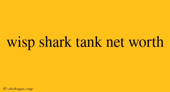 Wisp Shark Tank Net Worth