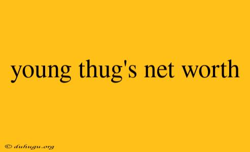 Young Thug's Net Worth