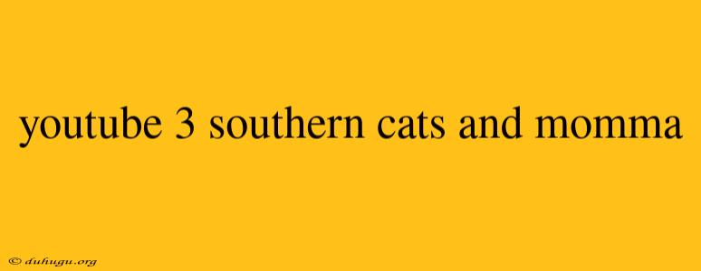 Youtube 3 Southern Cats And Momma