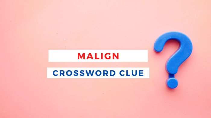 Maligns Crossword Clue