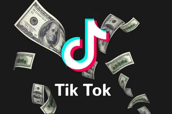 How To Earn Money From Tiktok