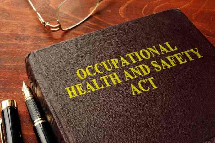 Under The Occupational Health And Safety Act Employees Must